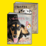 いぬのきもち11月号　雑誌